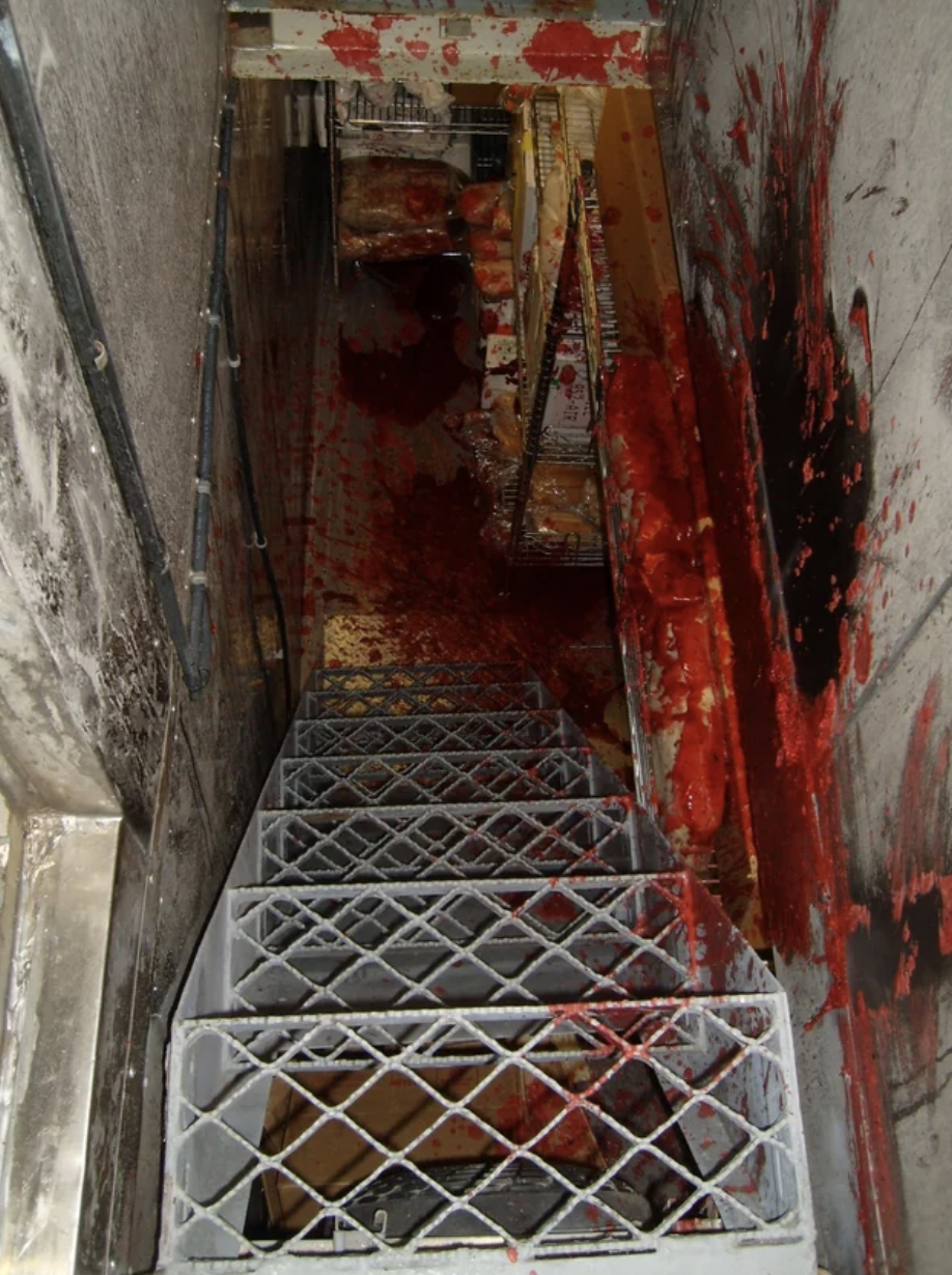 What looks like blood splatter on stairs