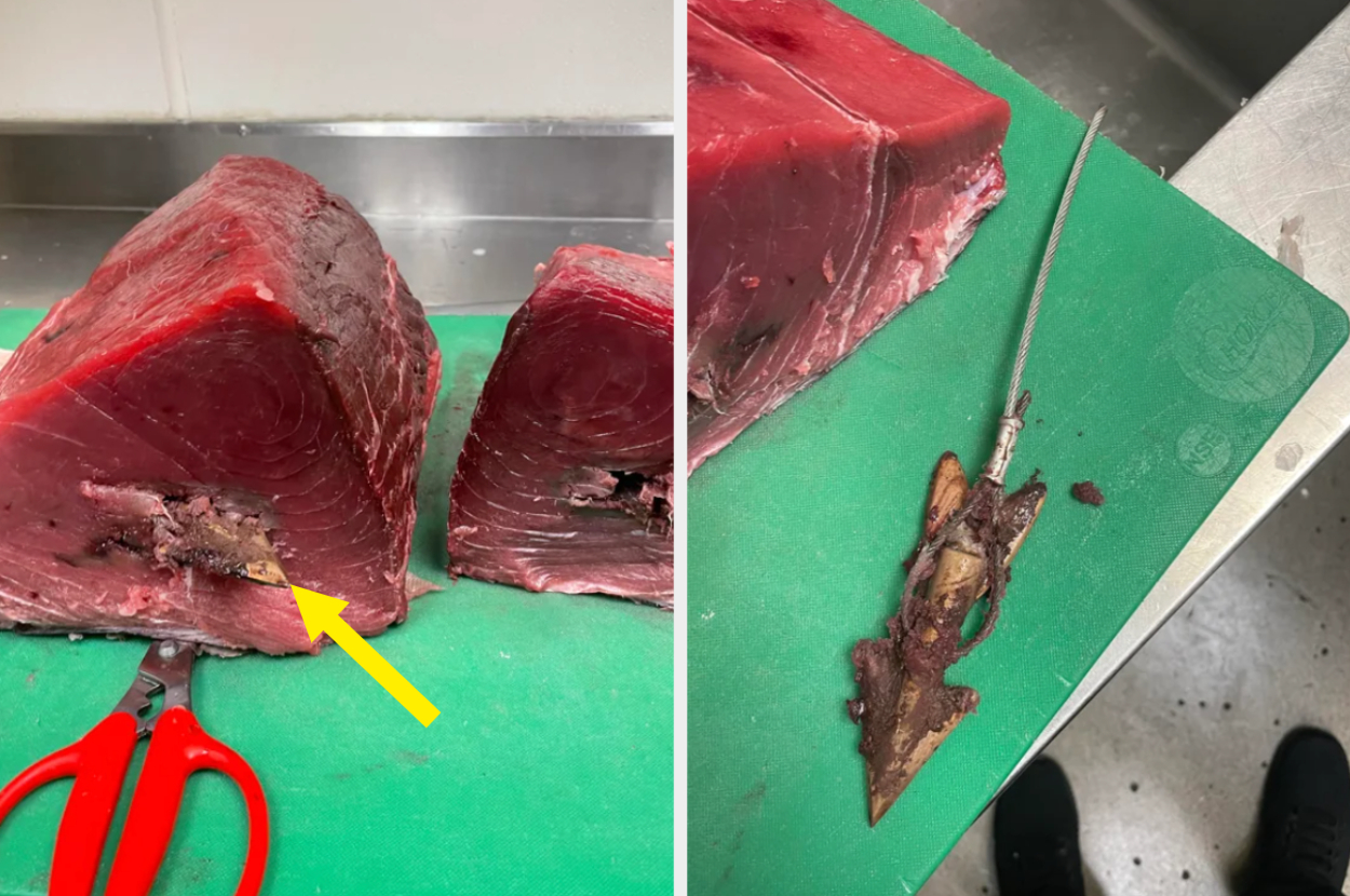 Slabs of tuna with a harpoon in it and then with it removed
