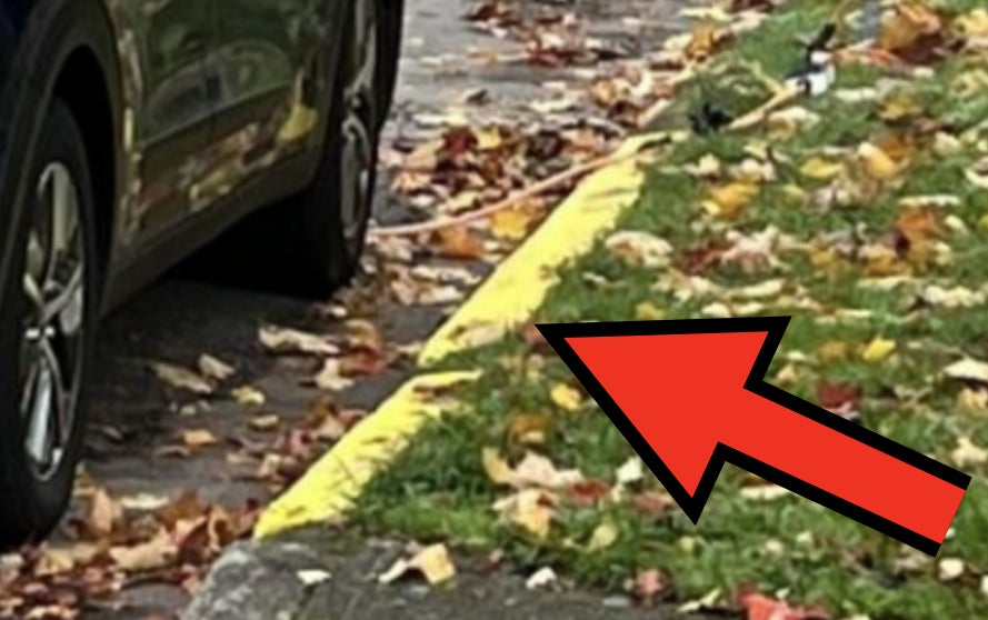 Yellow paint on a curb