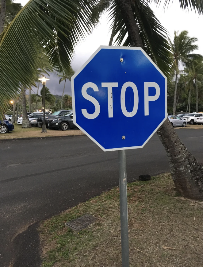 Stop sign next to a road with parked cars and palm trees