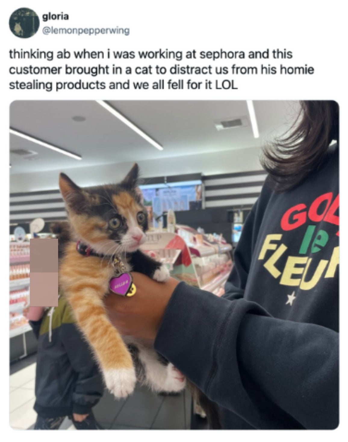 small cat in a store