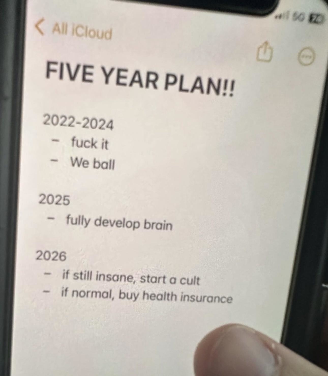 five year plan written out on the notes app that ends with, if still insane start a cult, if normal buy health insurance