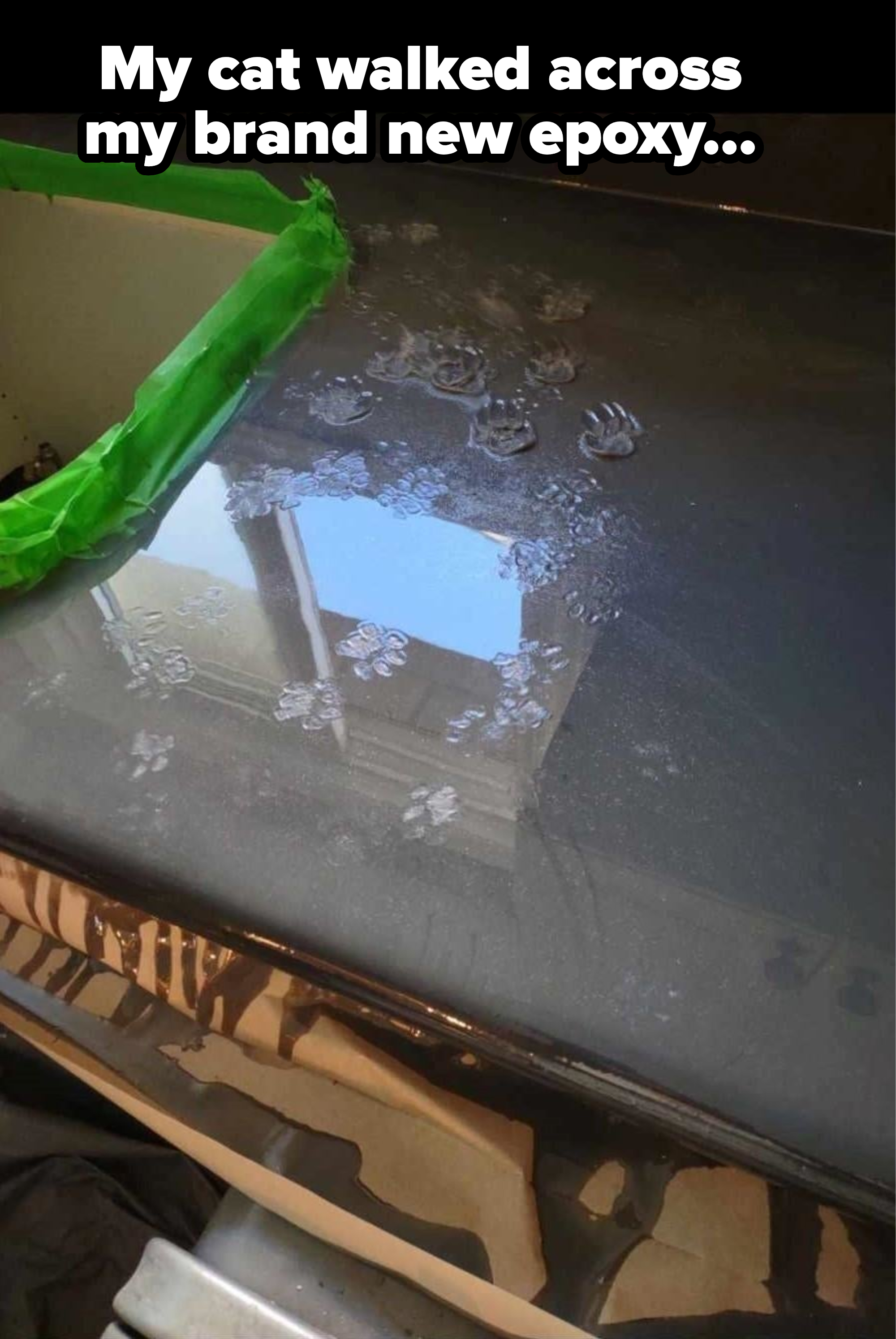 Cat paws in epoxy paint with caption "My car walked across my brand-new epoxy"