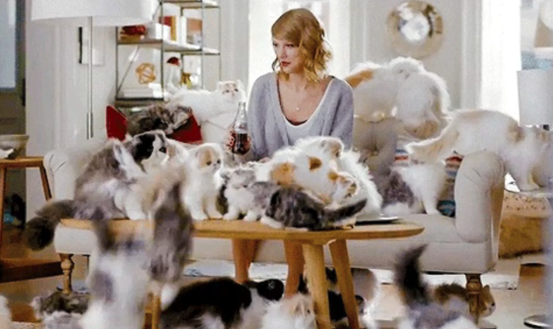 woman surrounded by cats