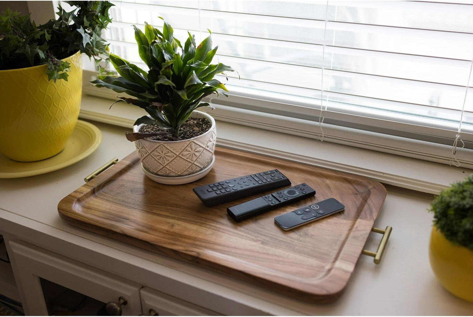 rectangular wood tray with gold handles, with a plant and remotes on top