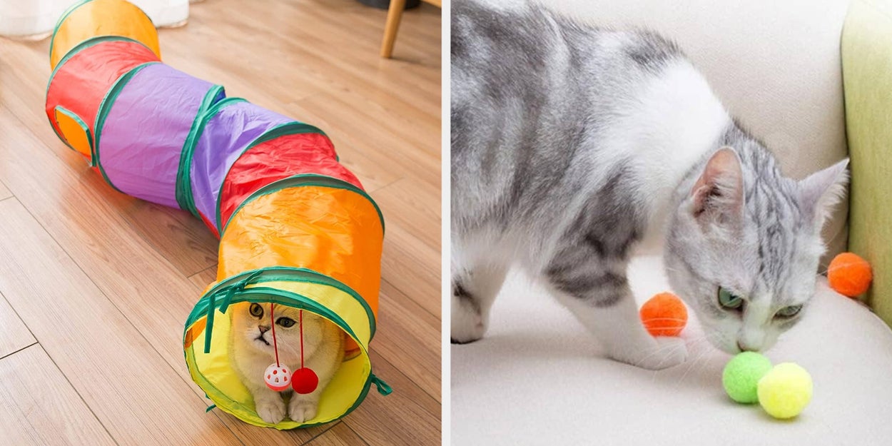 22 Affordable Toys To Buy For Your Spoiled Cat