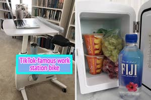 the desk bike in reviewer's office and the inside of reviewer's mini fridge