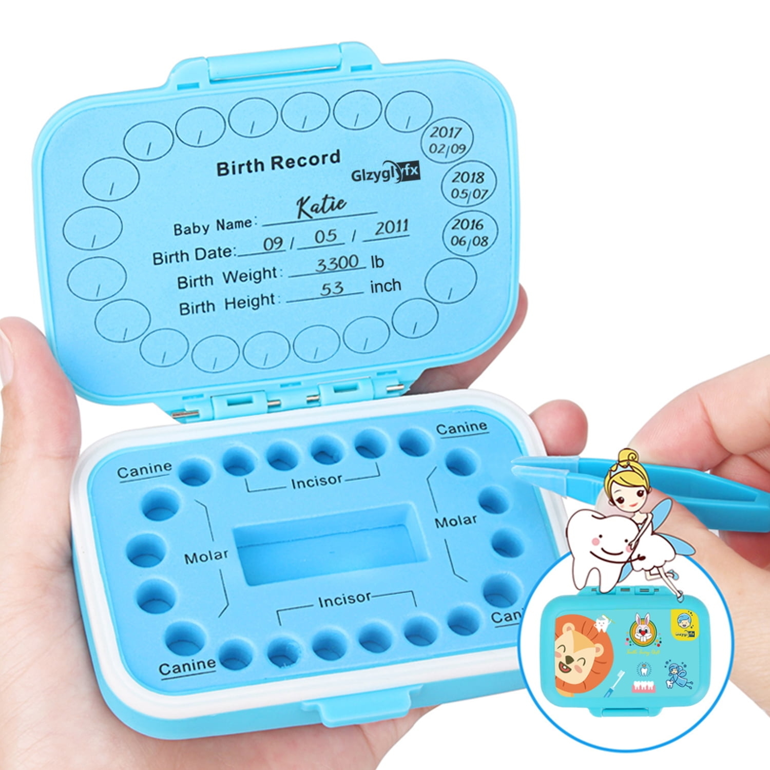Blue case with multiple holes to store teeth with space to label each tooth