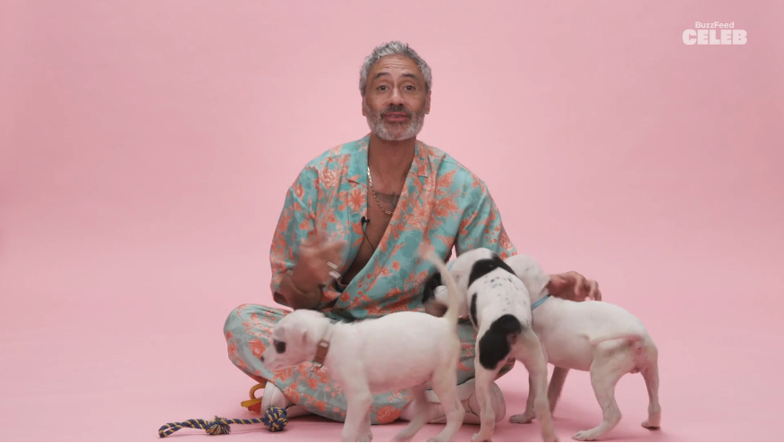 Taika sitting on the floor and playing with puppies