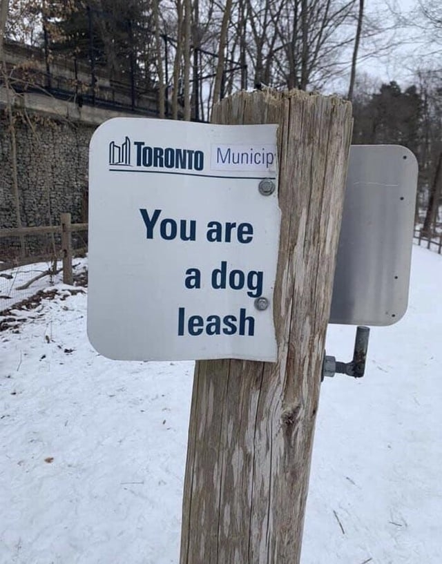 cut off sign on a pole now reads, you are a dog leash