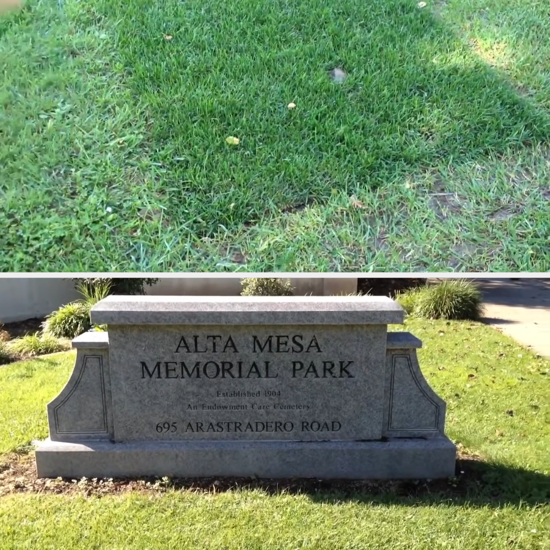 Possible grave site for Steve Jobs