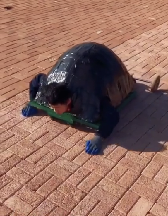 man rolling around in a turtle costume