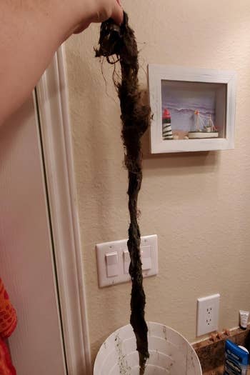 The reviewer holding a massive clump of hair pulled from drain