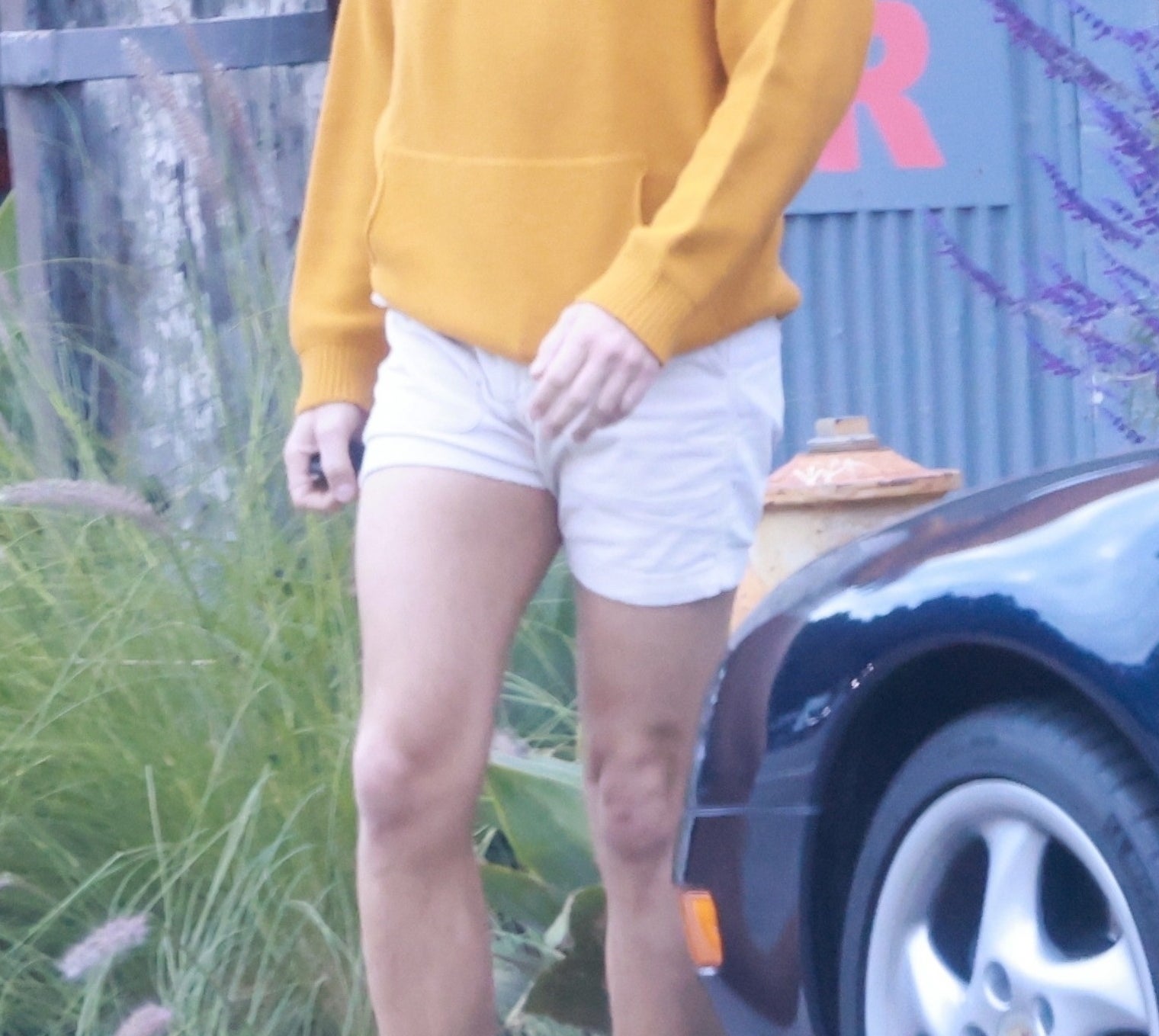 Closeup of Chris Pine&#x27;s shorts