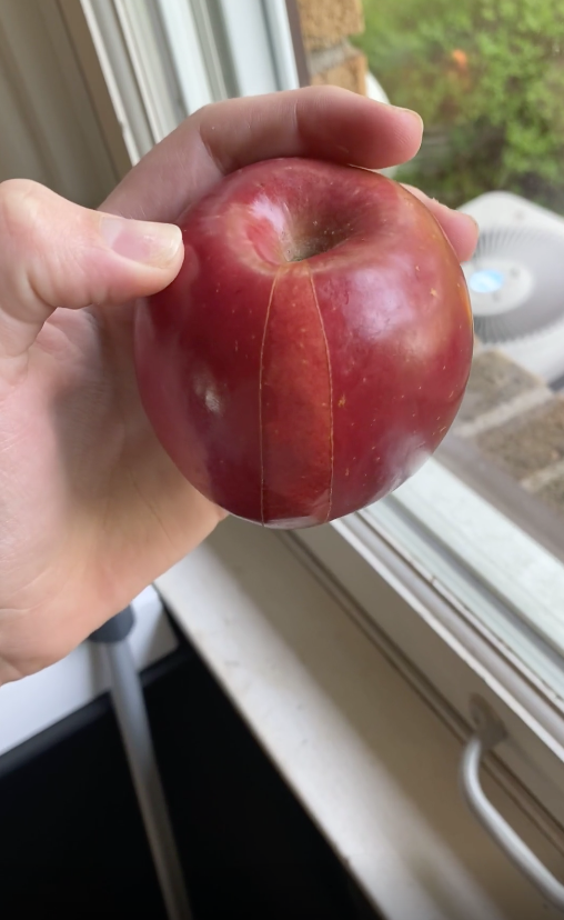 an apple that had a slice cut out and put back in