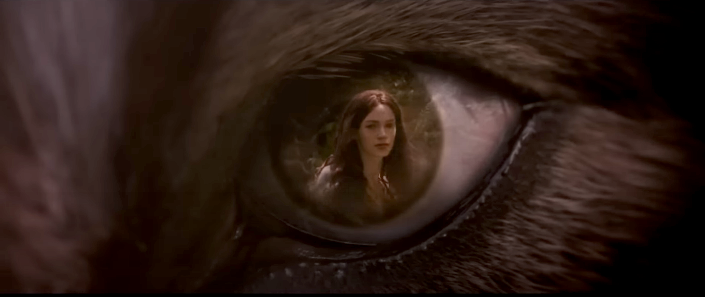 Jacob&#x27;s wolf eye with a grown-up Renesmee in his eye