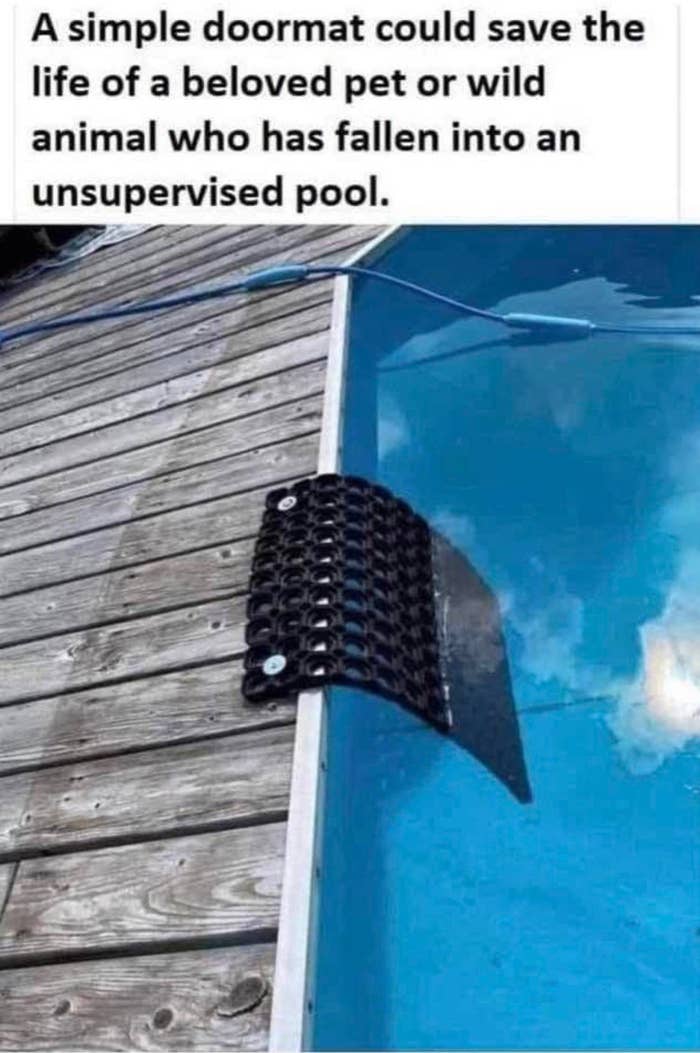 a rubber doormat attached to the edge of a pool, making a kind of ladder for any animal to climb out easily