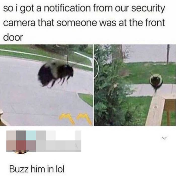 &quot;Buzz him in lol&quot;
