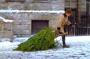 "When Harry Met Sally" dragging the tree.