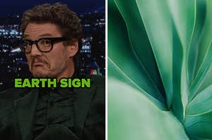 Pedro Pascal wears thick glasses and purses his mouth as if surprised, next to a separate image of a close-up of a succulent