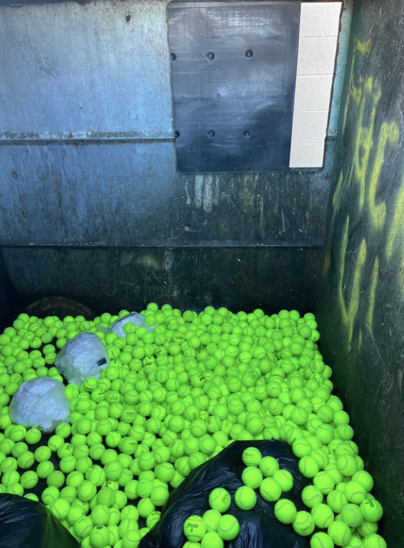 Tennis balls in the garbage