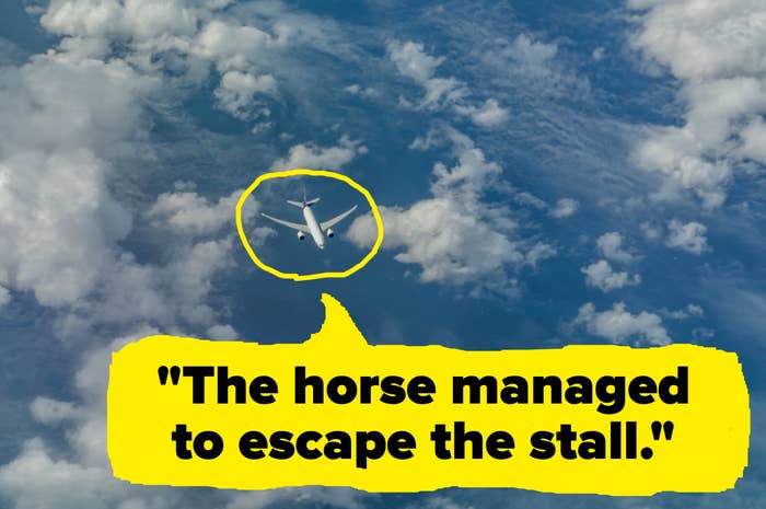 horse travel on plane "The horse managed to escape the stall."
