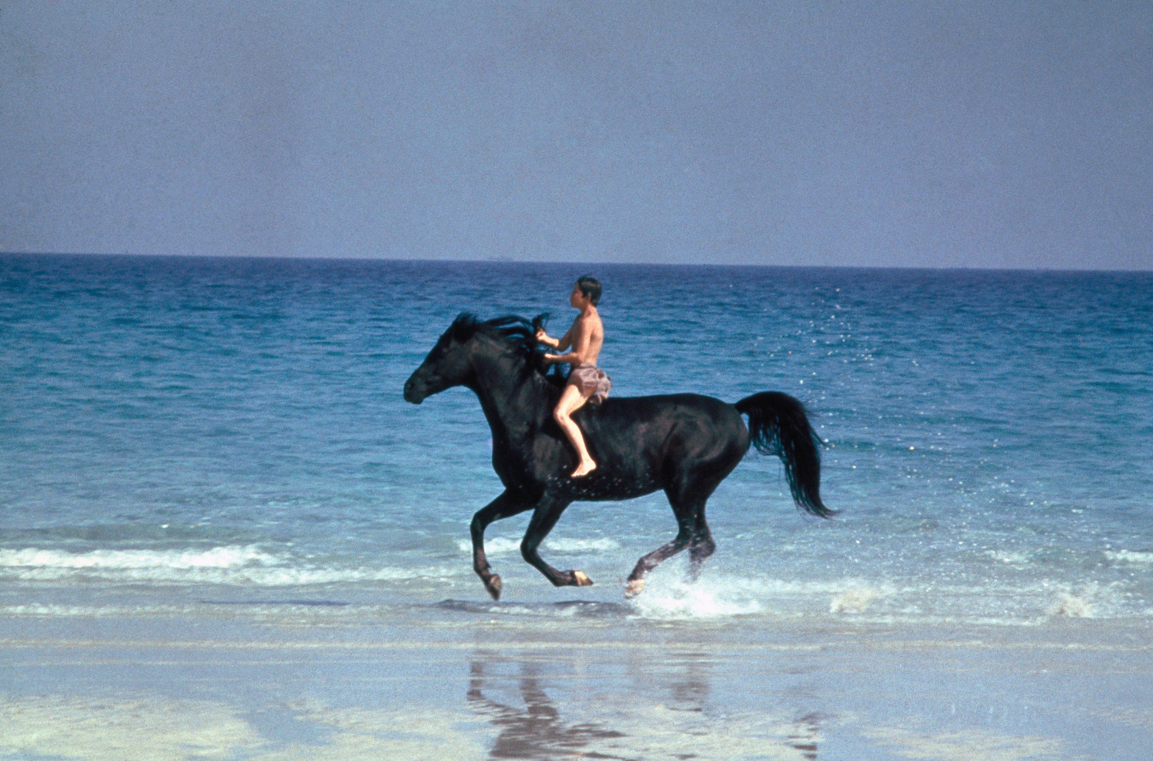 From Black Stallion: a boy rides a black horse on a beach against an ocean background
