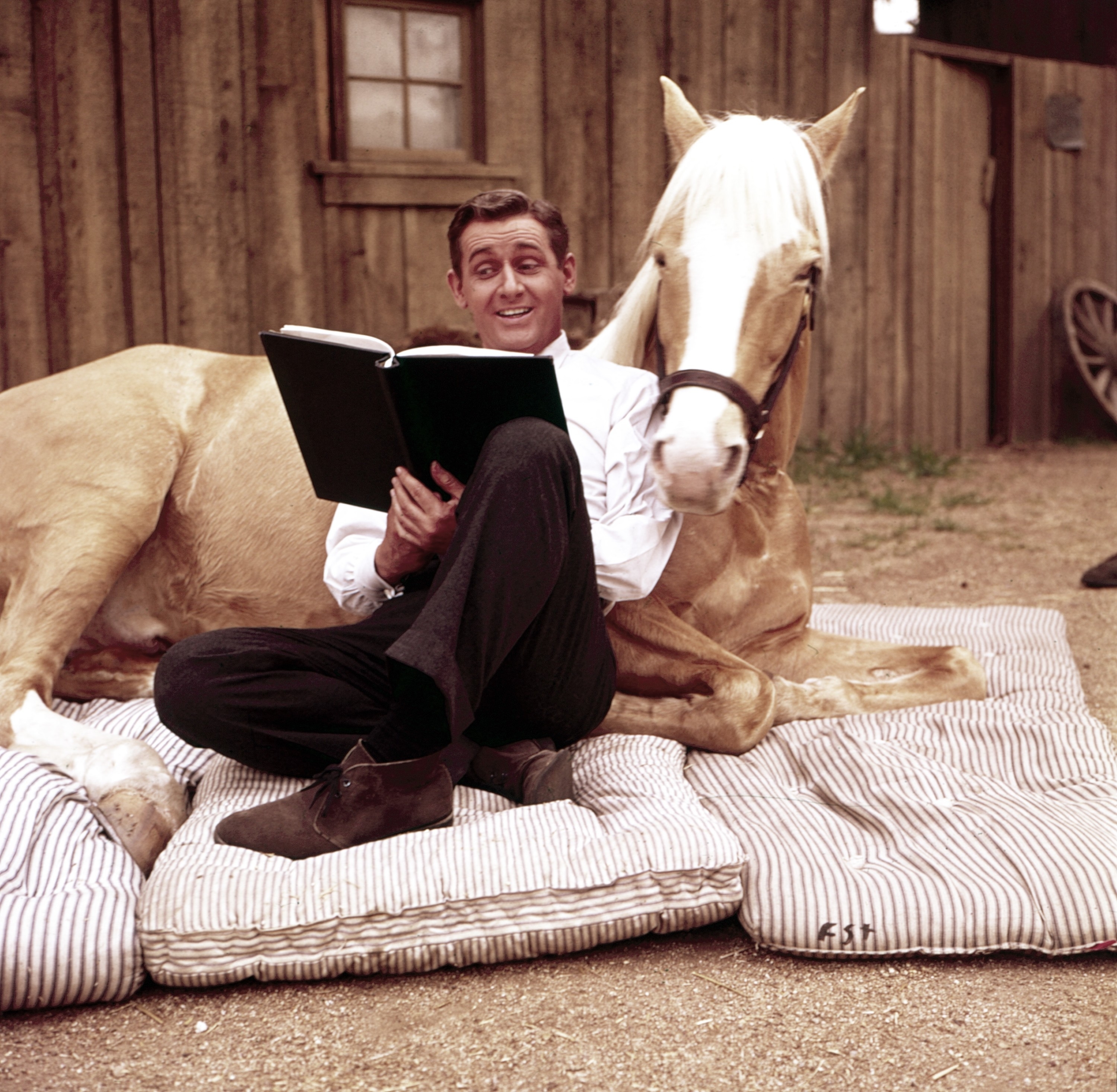 MISTER ED the horse, from the TV show Mister Ed, and Wilbur, his human, on the set of Mister Ed