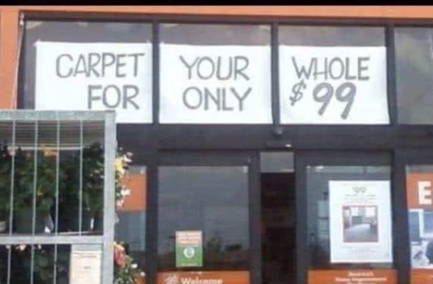 &quot;Carpet For Your Only Whole&quot;