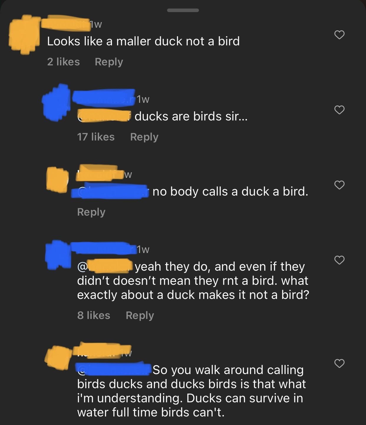 Argument about how no one calls ducks birds and whether or not they are, in fact, birds, with the final comment: &quot;Ducks can survive in water full time, birds can't&quot;