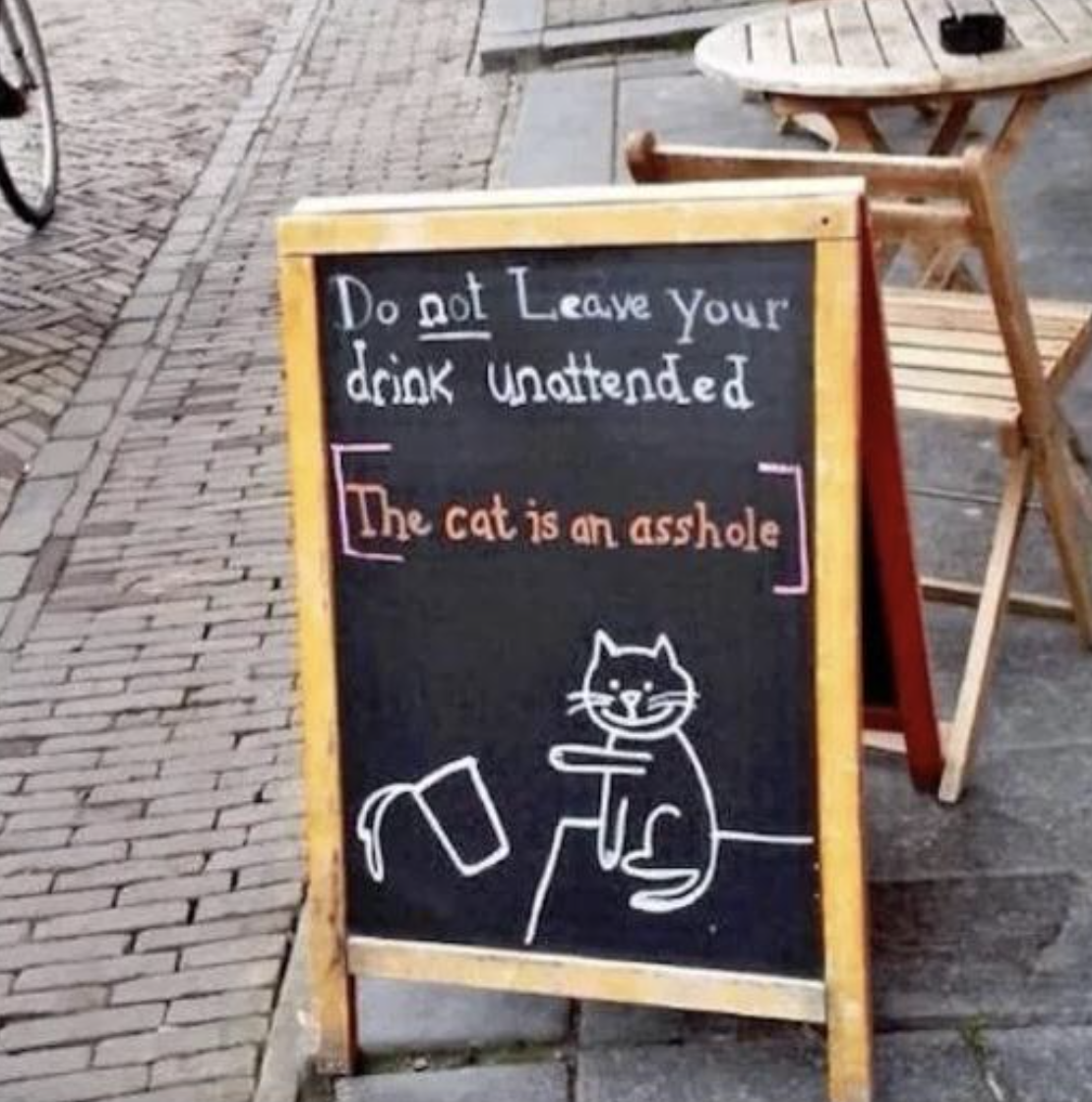 &quot;The cat is an asshole&quot;
