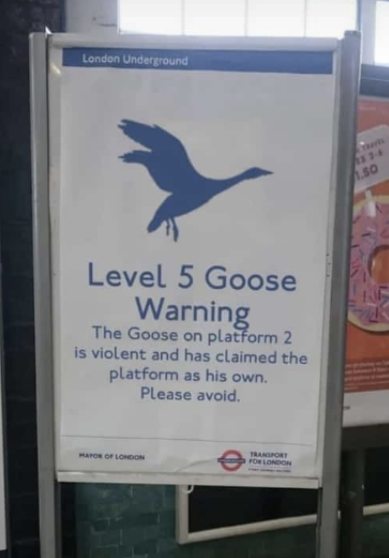 &quot;Level 5 Good Warning&quot;