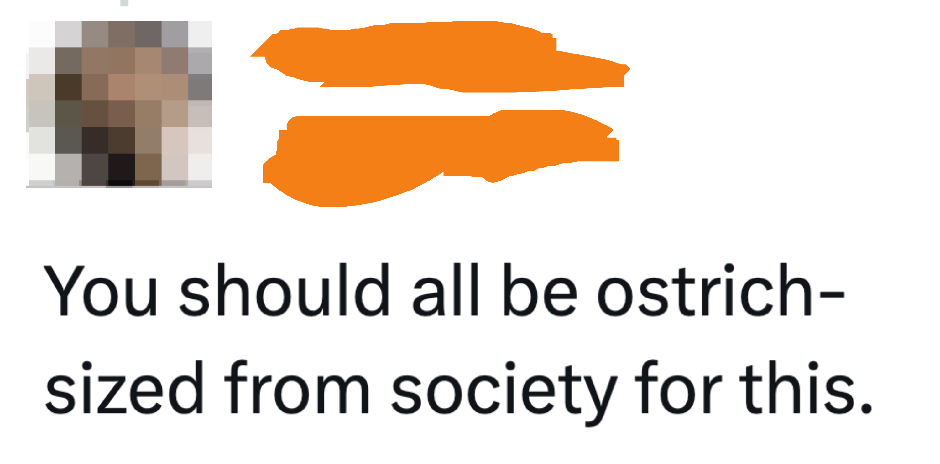 &quot;You should all be ostrich-sized from society for this&quot;