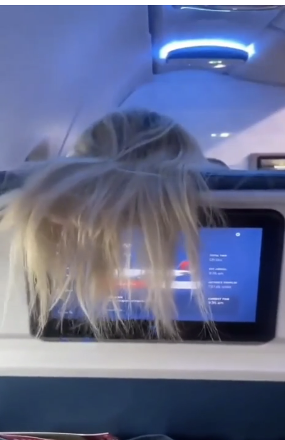 a person&#x27;s hair on an airplane blocking someone&#x27;s screen