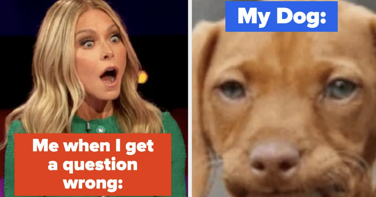 Dog Trivia Quiz Dog Trivia Quiz
