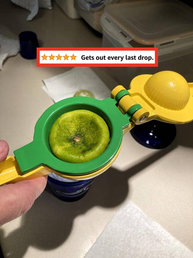 A reviewer holding the juicer with a lime inside that has been fully squeezed