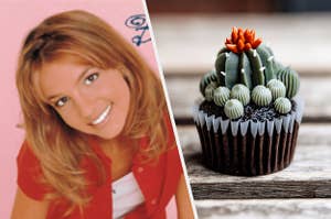 Britney Spears and cactus cupcake.