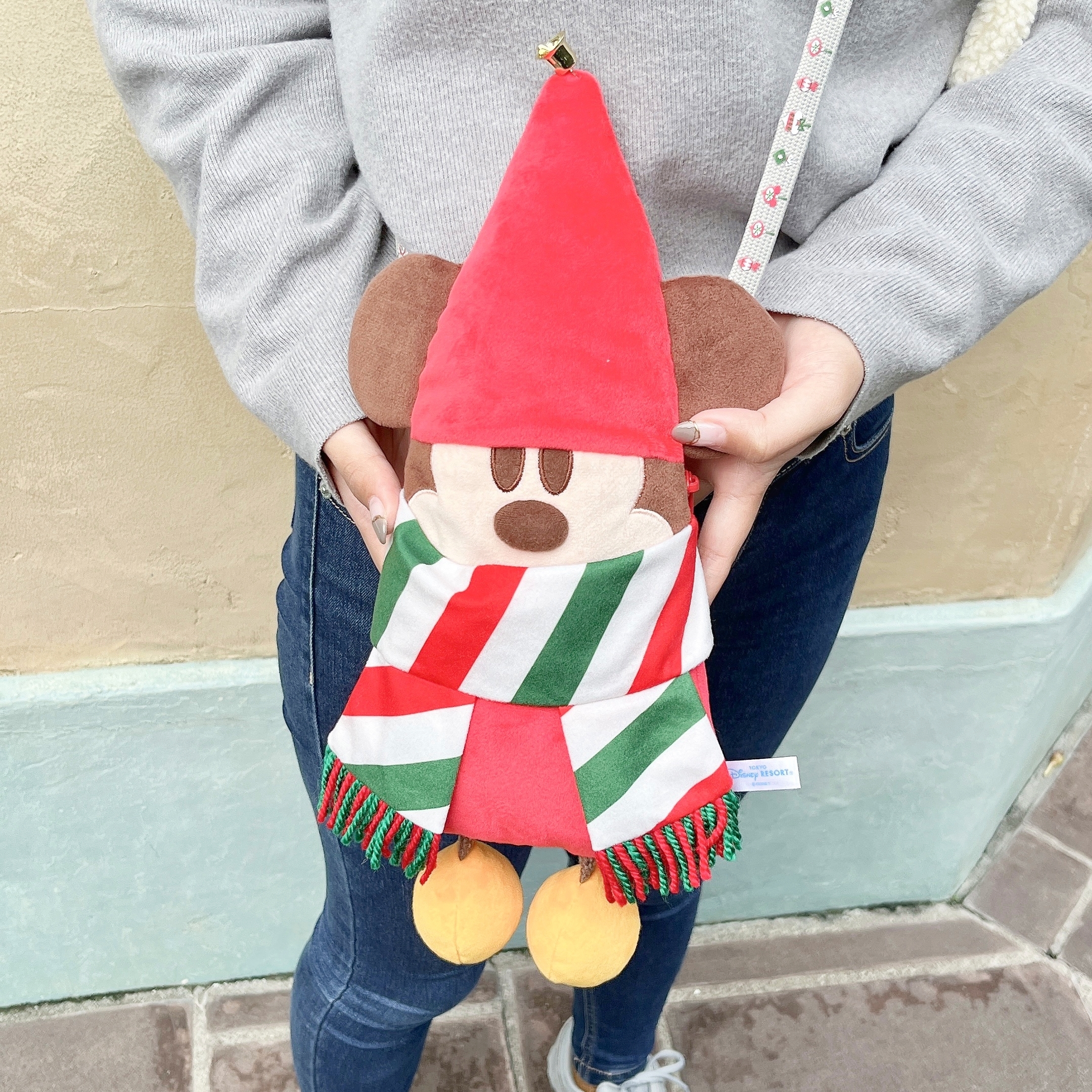 ディズニーランドとシーのクリスマス限定お土産「ショルダーバッグ」