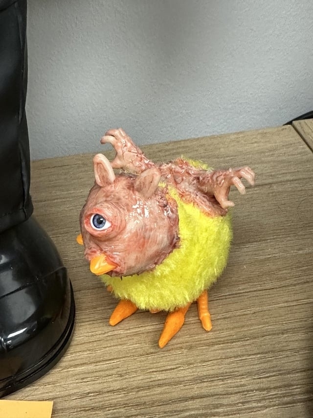 chick that looks fake, has one eye in the center, small beak, and no feathers on the head