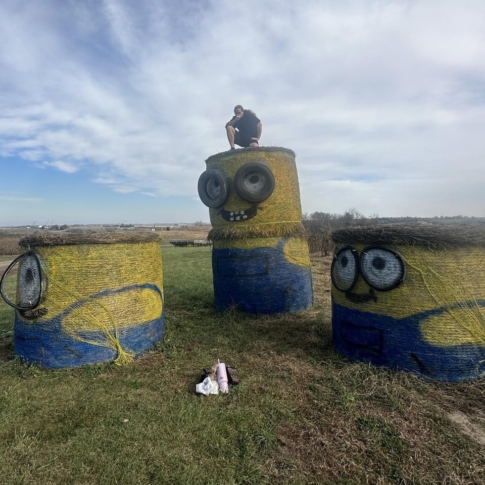 hay bails painted as the minion characters