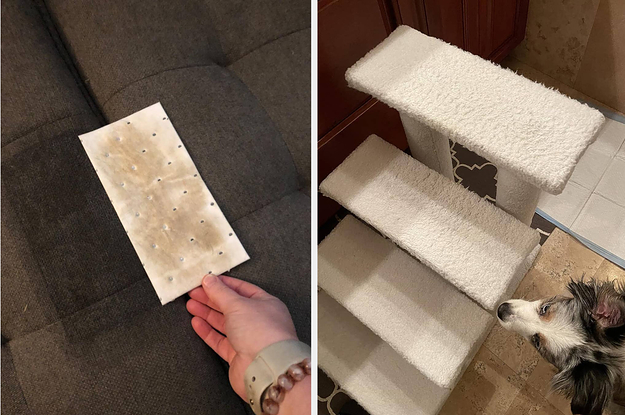 dirty stain removing pad, clean pet steps up to bed