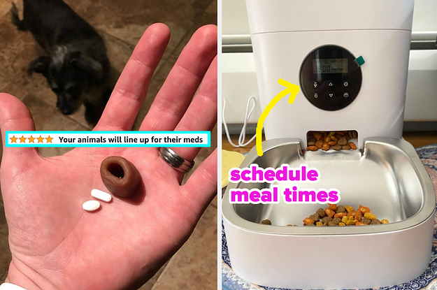The reviewer holding a pill pocket and pet medication. An automatic pet feeder