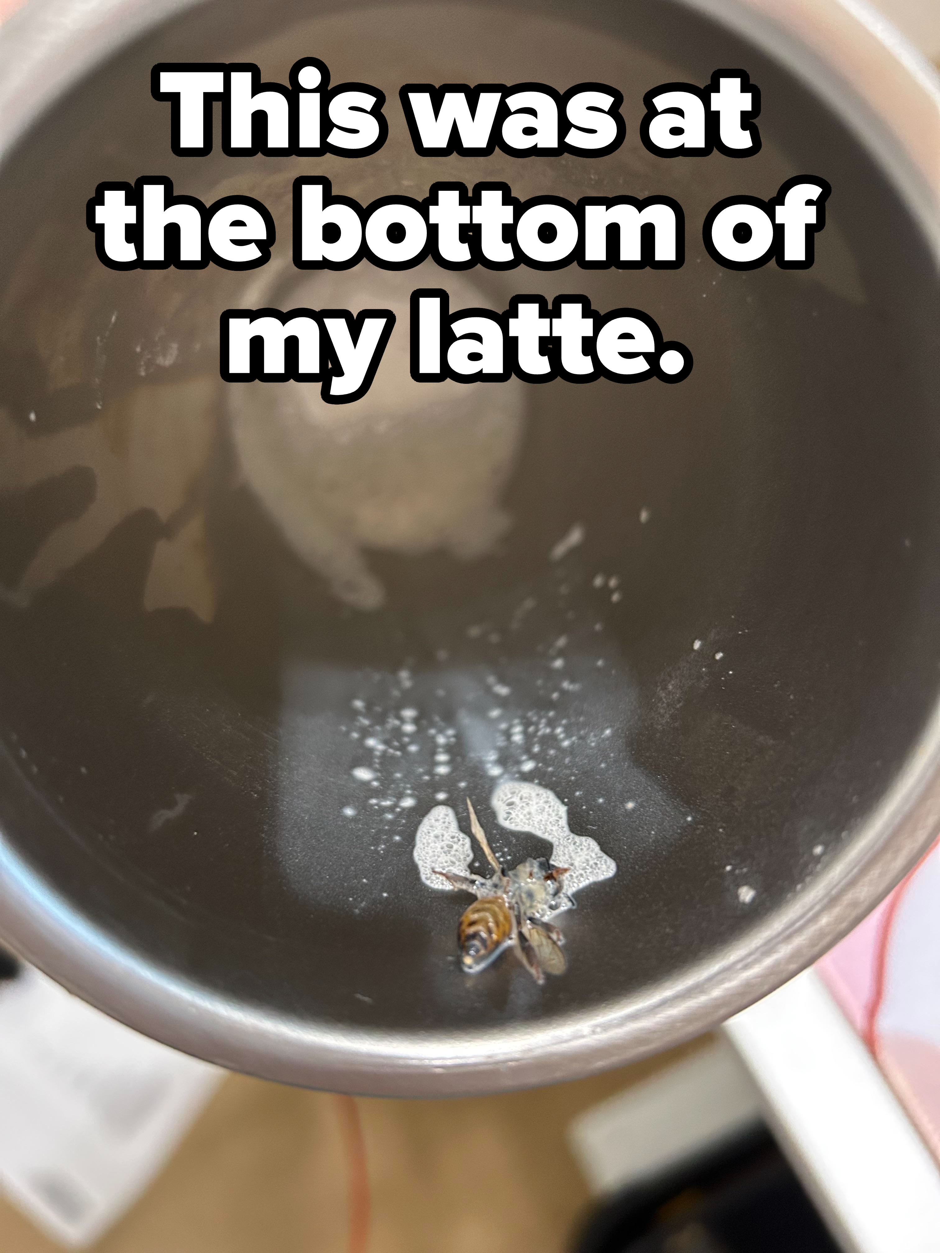 a wasp in someone&#x27;s latte