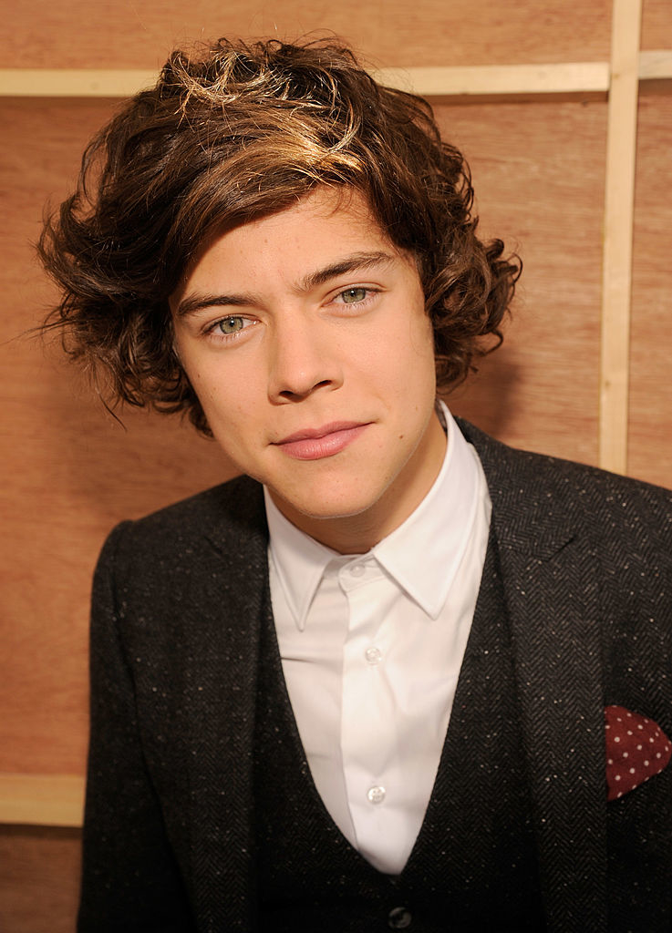 A closeup of Harry with shaggy hair