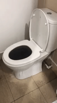 an overflowing toilet