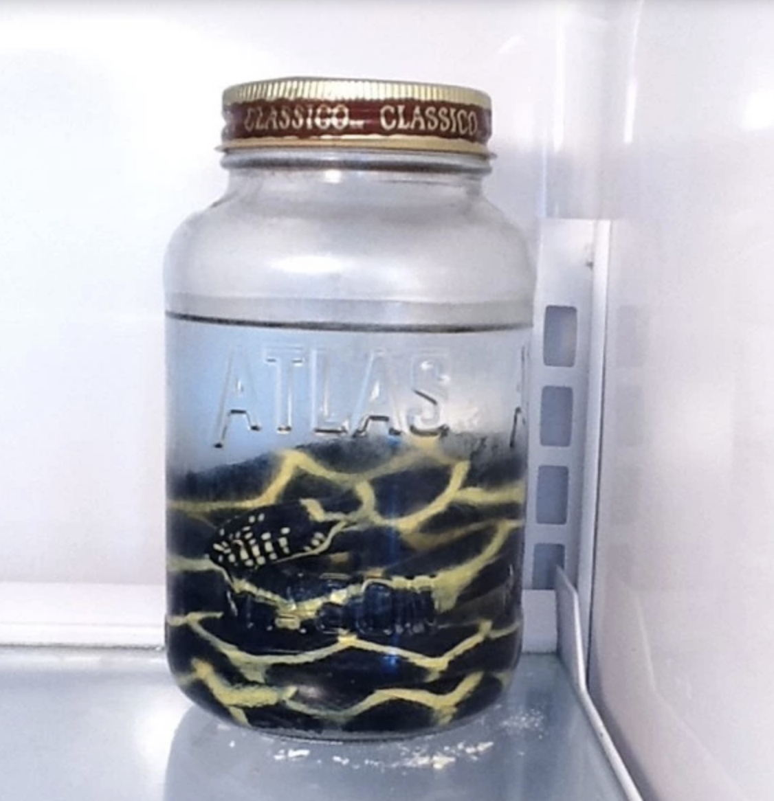 a jar with a snake in it