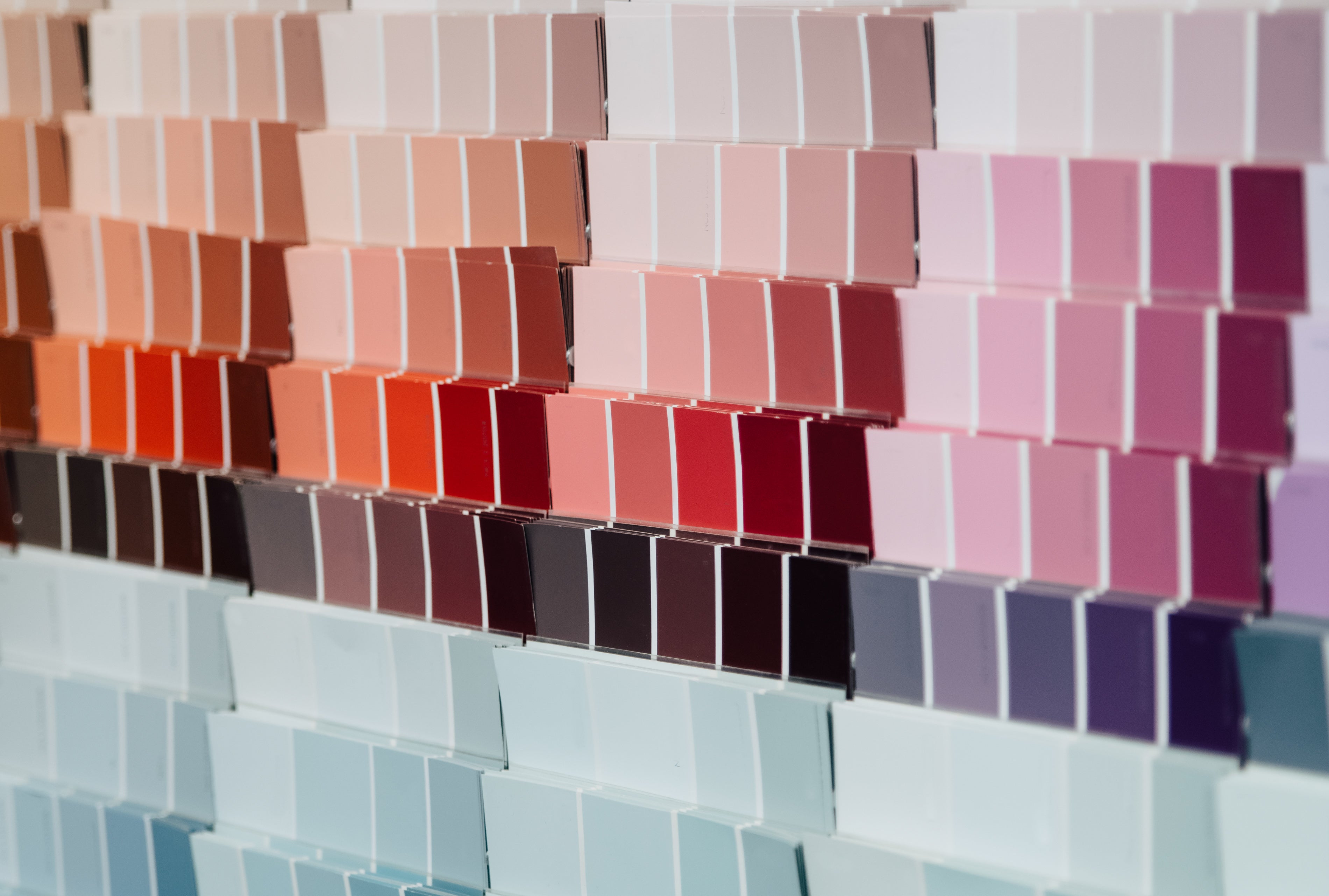 paint sample swatches organized by color