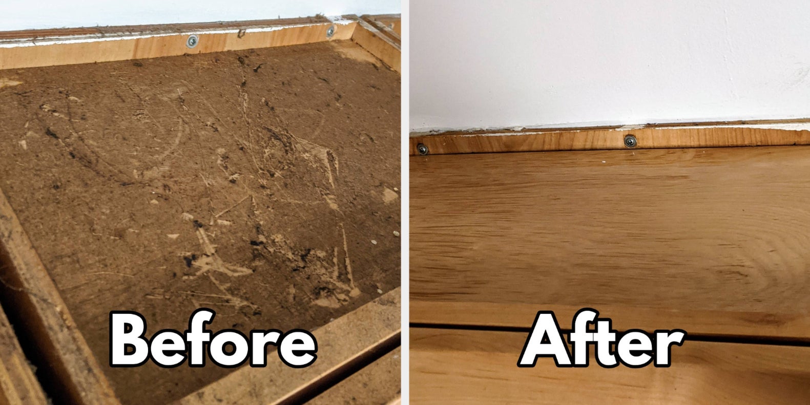 Say Goodbye to Grossness: Transform Your Space with These Cleaning Products - Vimarsana News
