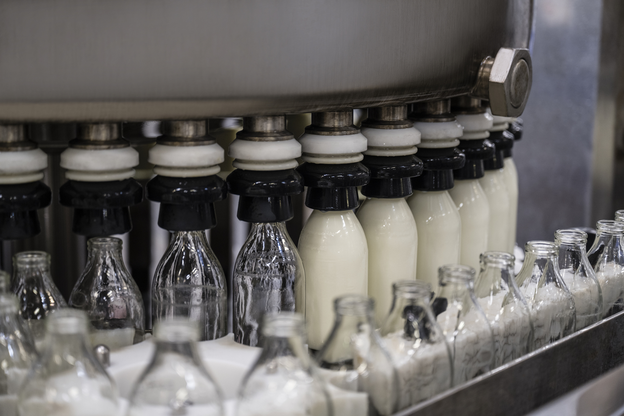 A bottle-milking machine at work