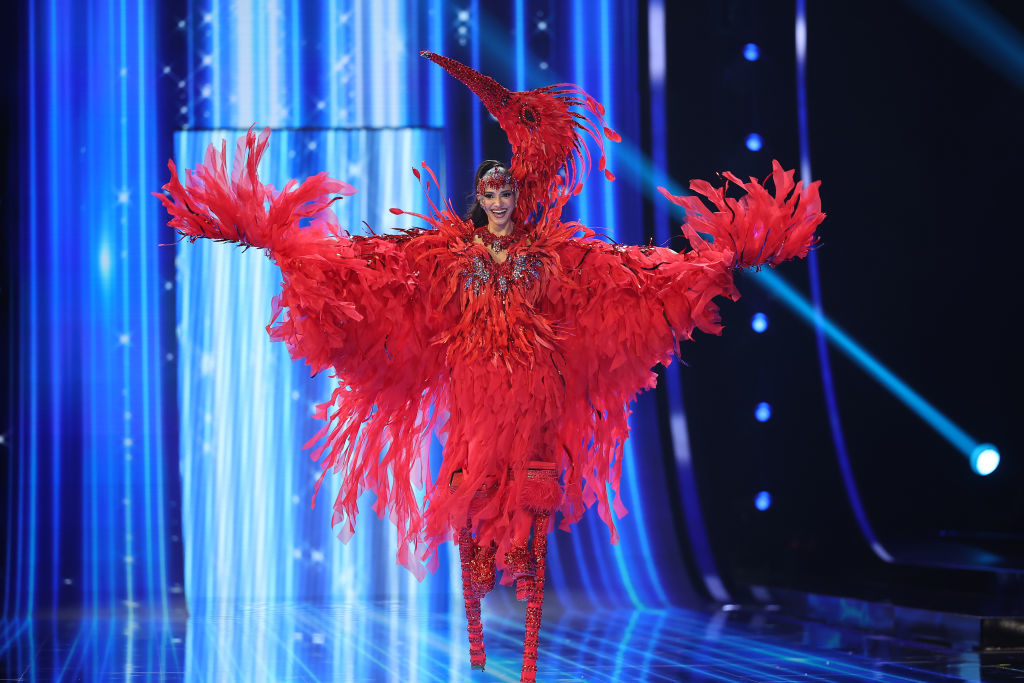 An ornate red, feathery outfit with attached bird-head accent